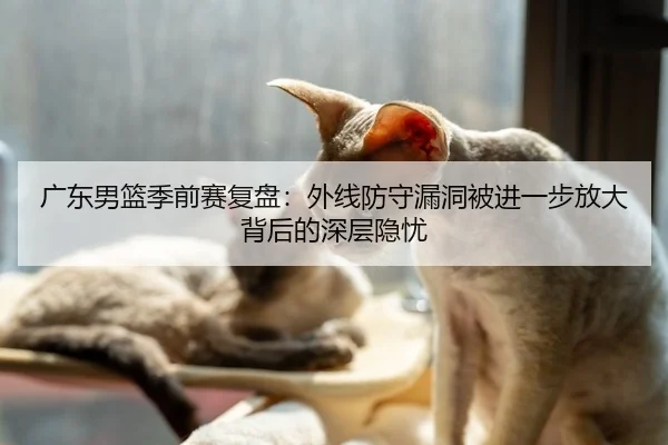 广东男篮季前赛复盘：外线防守漏洞被进一步放大背后的深层隐忧
