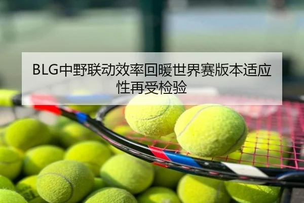 BLG中野联动效率回暖世界赛版本适应性再受检验